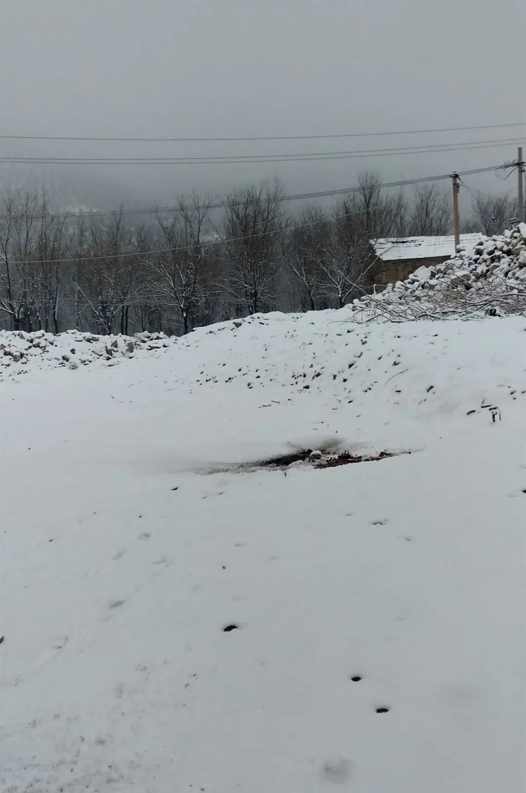 连发50条预警山西多地突降暴雪白茫茫一片