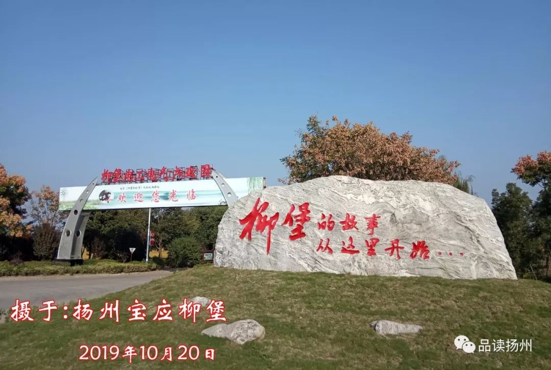 影片《长情柳堡》看过吗?_柳堡镇