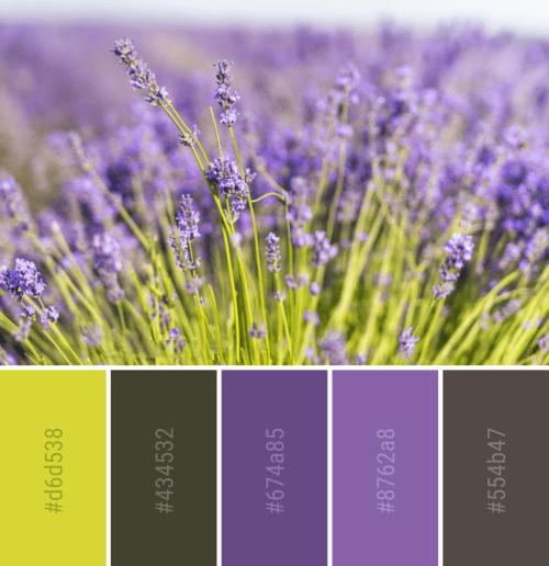 春意盎然的色彩搭配方案春天到了