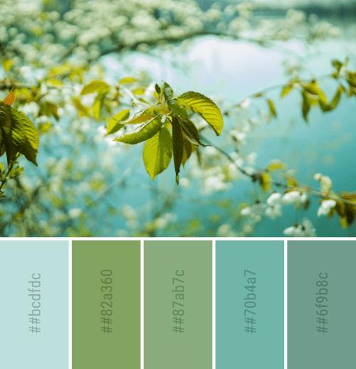 春意盎然的色彩搭配方案春天到了