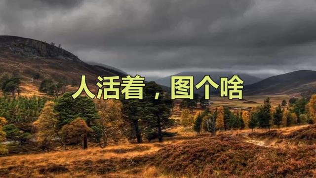 人活着图个啥