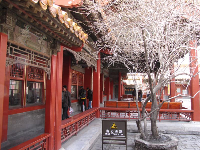 同名的宫殿给自己最心爱的皇后;圆明园中富察皇后住的也是"长春仙馆"