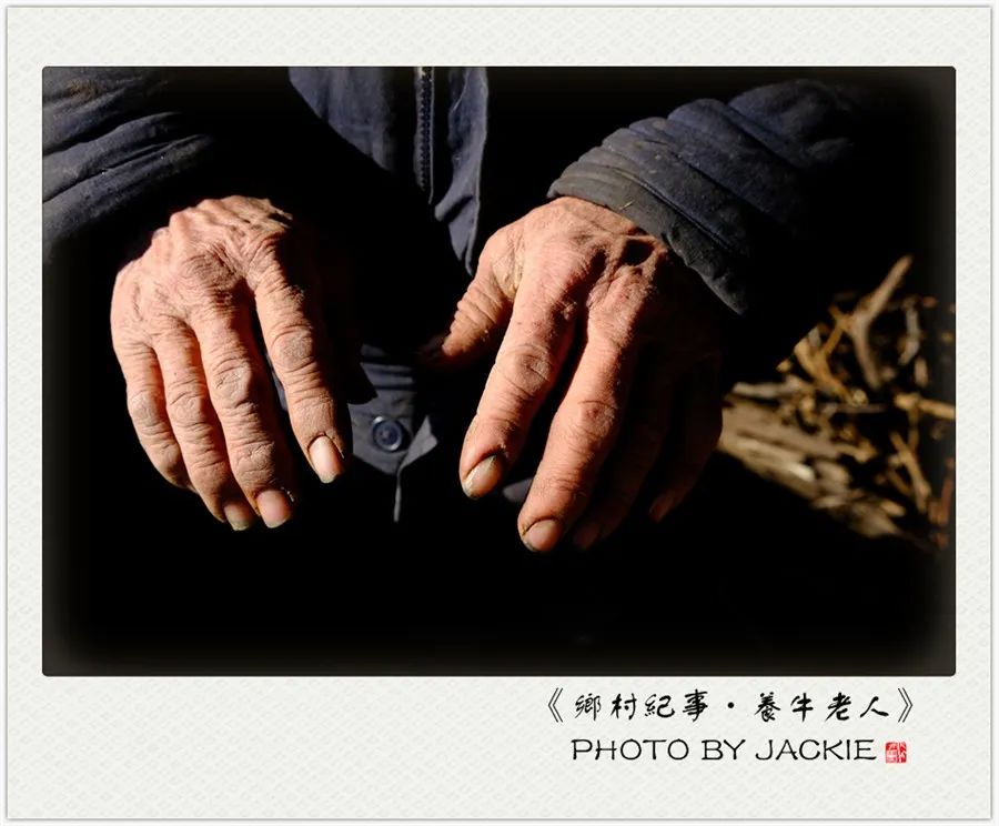 屈伟力 | 乡村纪事 | 养牛老人 | 摄影图片记