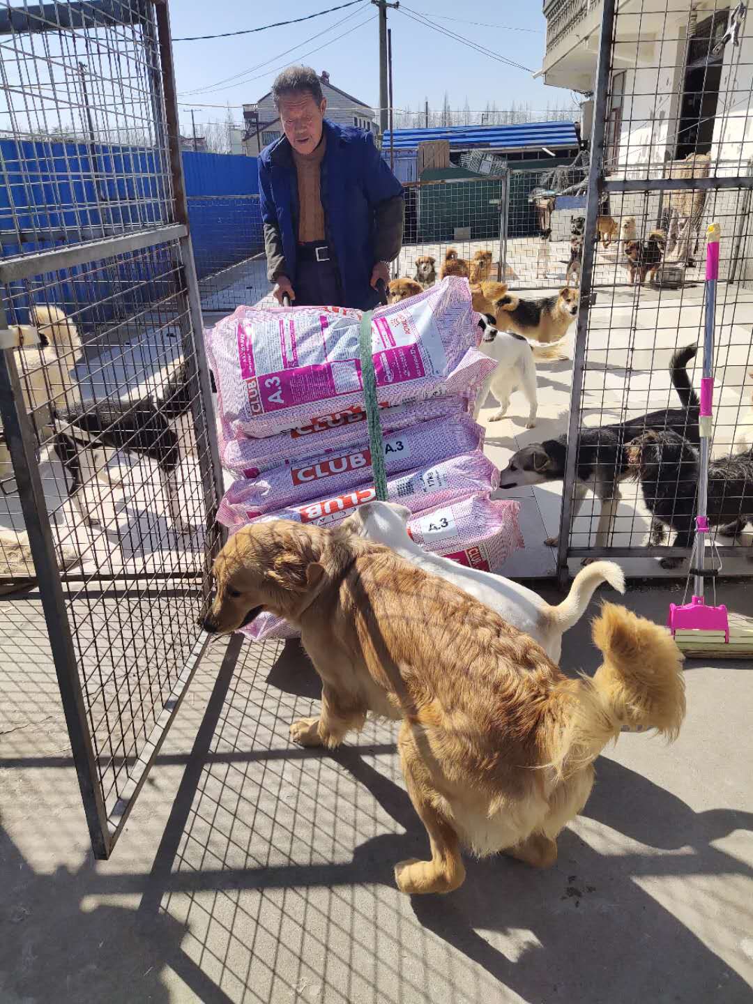 上海,天津的8家小院,志愿者们也共同表达了对于皇家雪中送炭的感谢