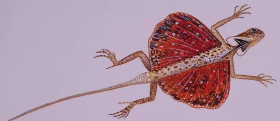 一张图竟然隐藏了这么多秘密_动物