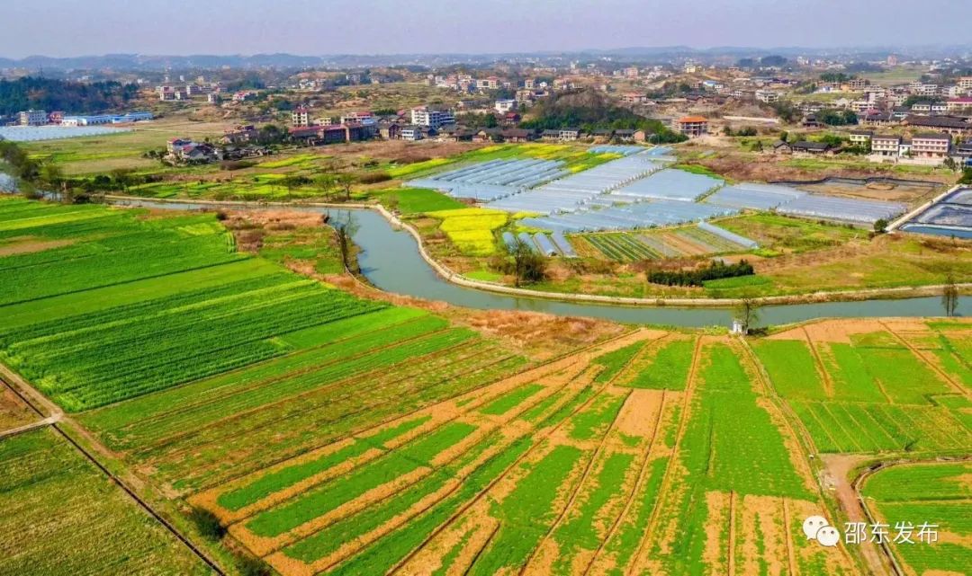 绘就新画卷邵东这项工作获全省先进
