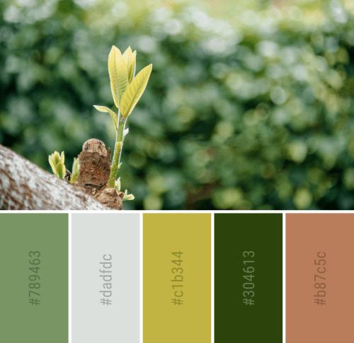 春意盎然的色彩搭配方案春天到了