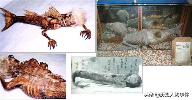 秦始皇陵以人鱼膏为烛度不灭者久之那么人鱼膏是什么