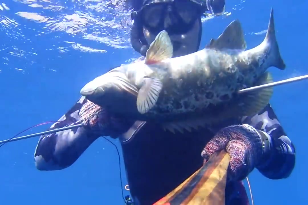 海底高清捕鱼 挣个油钱