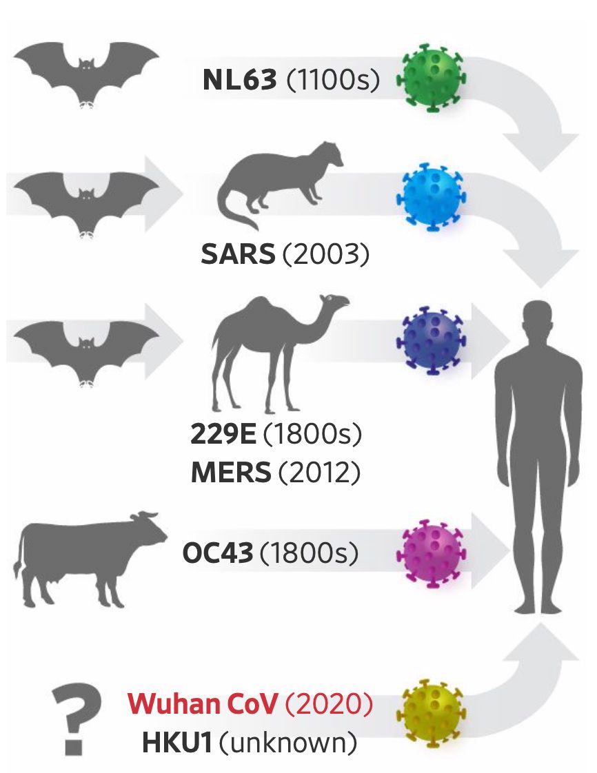 重申龟鳖蛇等变温动物不可能是新冠病毒的中间宿主