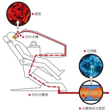 牙椅水路示意图图片