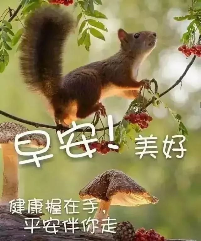 清晨祝福