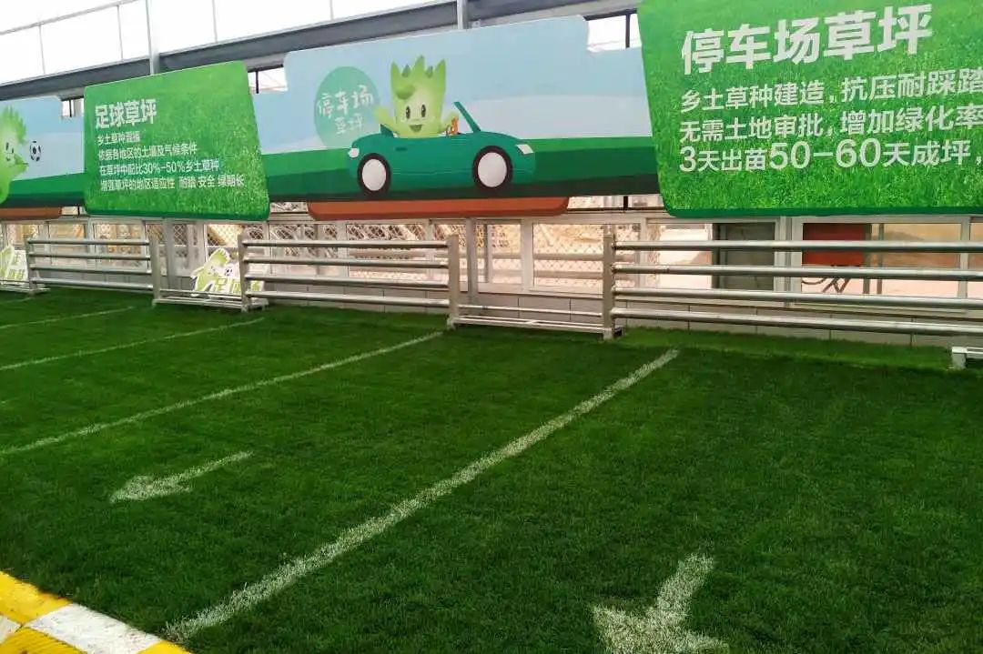 渭南新闻前线报道 | 快乐小草多项目复工,全力保障全国十四运场馆建设