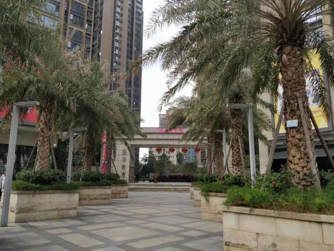 汇智百盛家园这种楼盘开盘去化8成深圳楼市真的该吃退烧药了