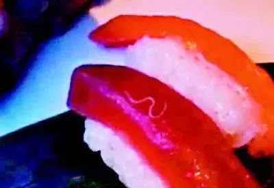 另外,寿司的生鱼还有一个大问题,就是寄生虫,扁形虫和蛔虫.