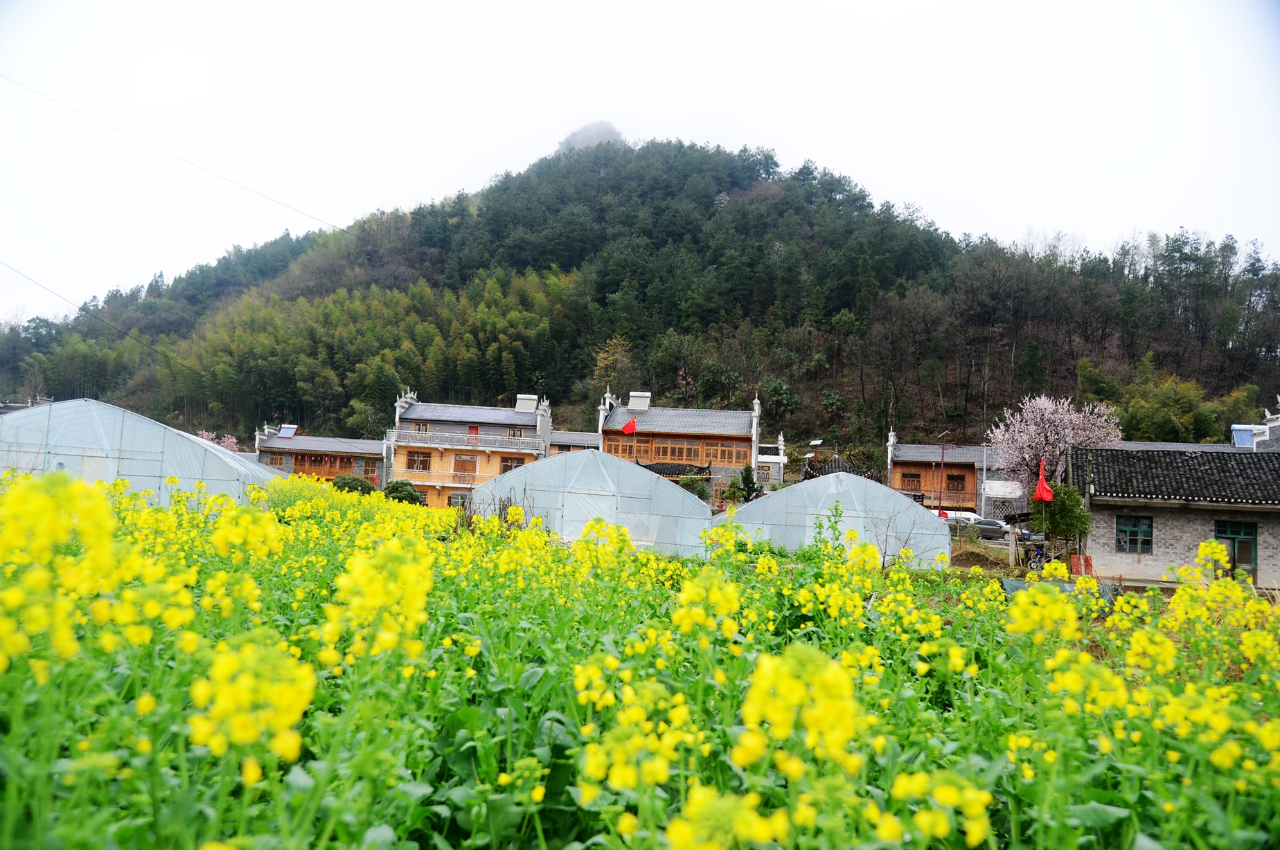 原创武陵源区协合乡春光已美春耕渐忙组图