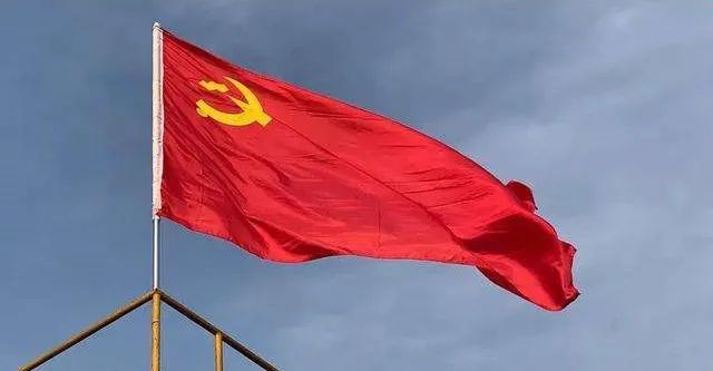 南充战疫②冲锋在前战疫一线党旗红