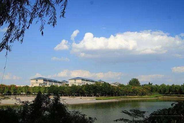 山东中医药大学2020年成人高考火热招生中!_院校