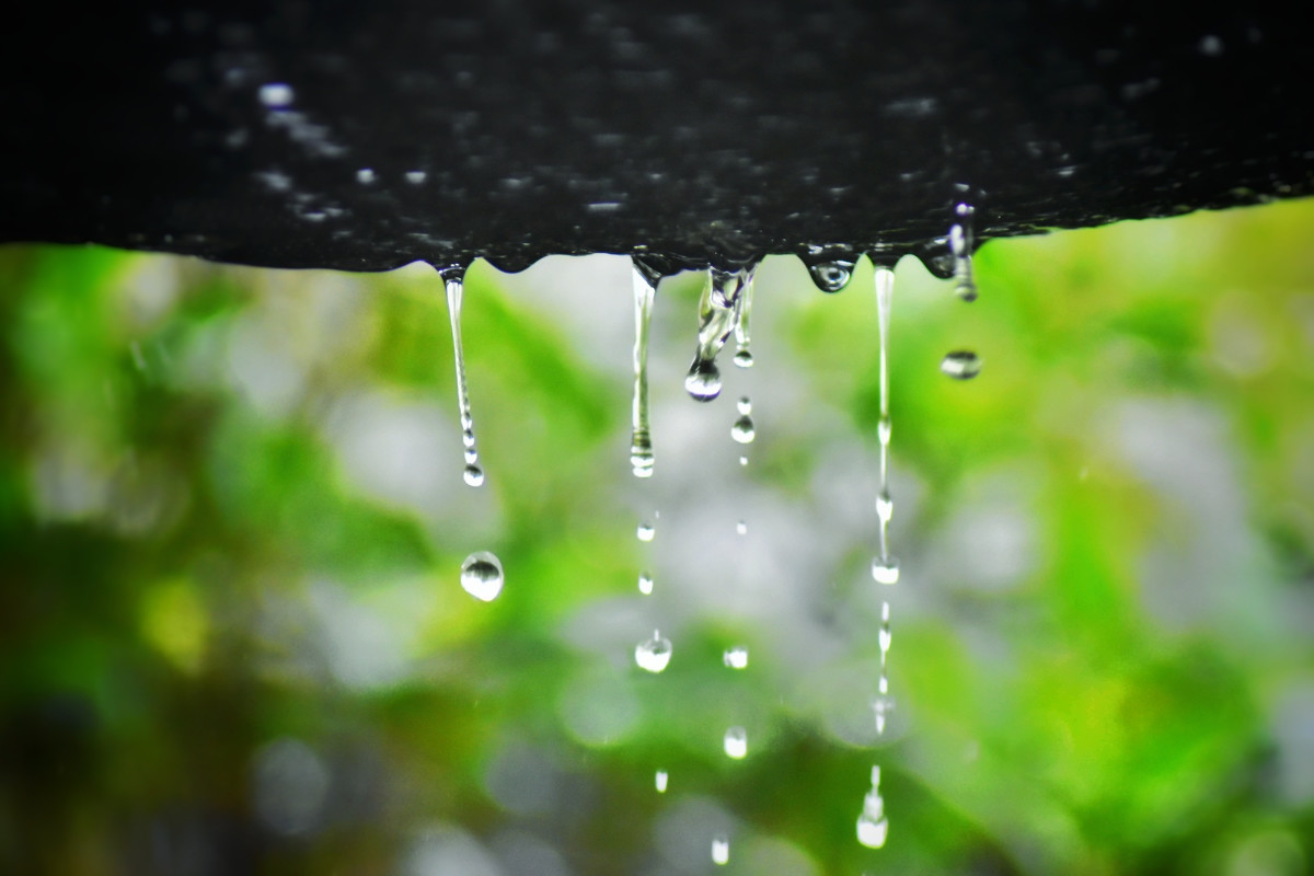 風追著雨的思念散文林侖