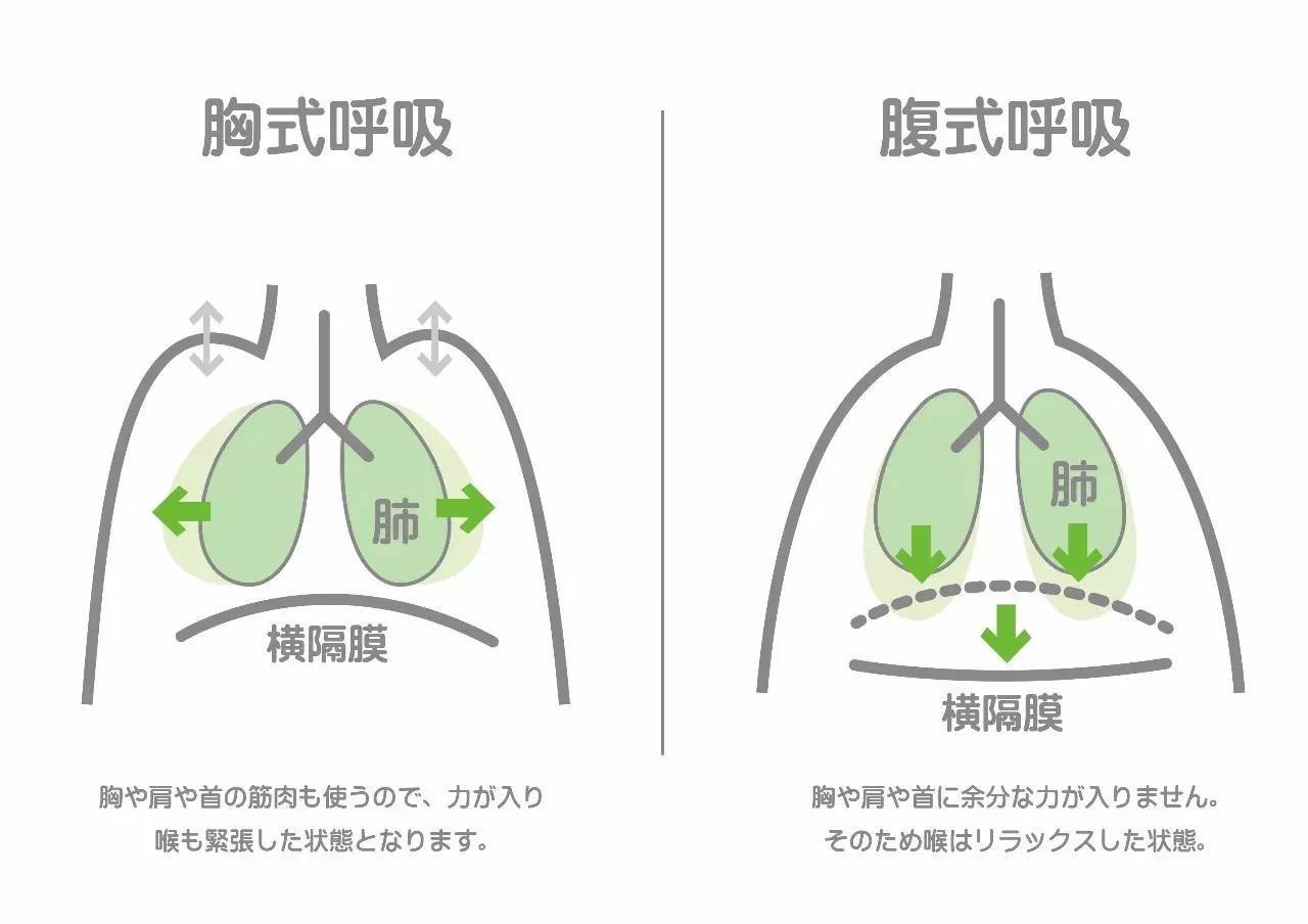 腹式呼吸的正确方法图片