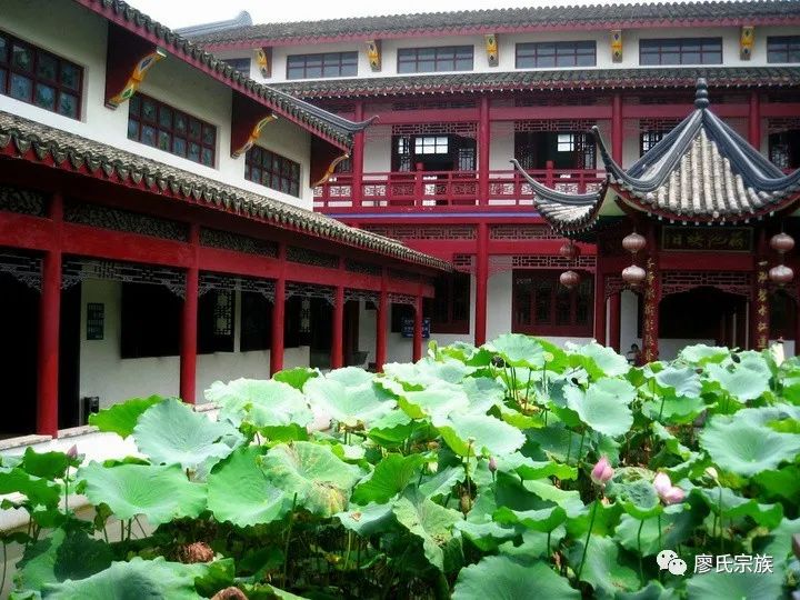 退伍不褪色防疫当尖兵广西南宁市银林山庄创始人廖凤鸣