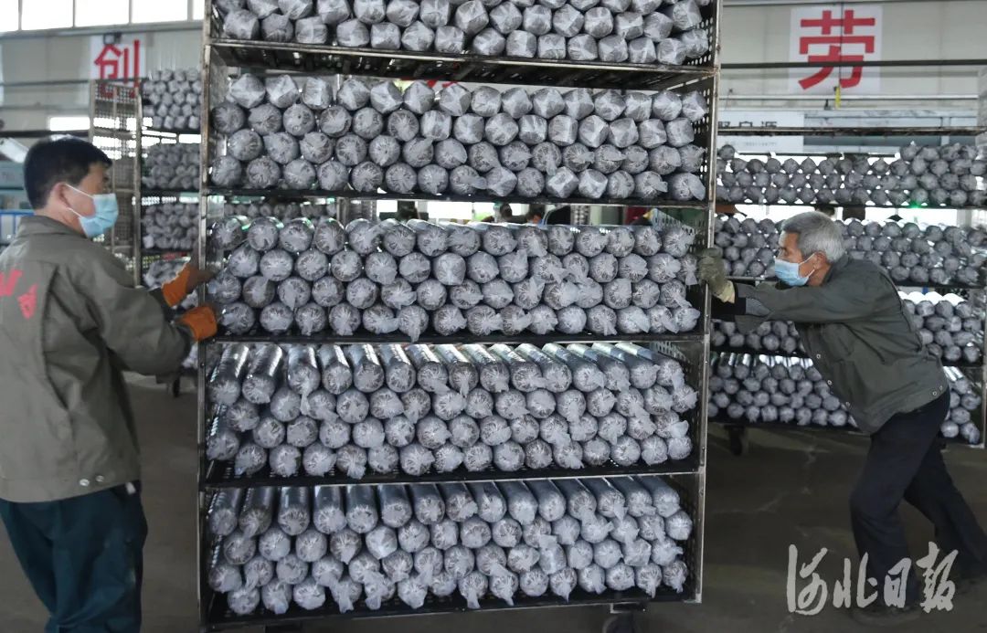 阜平2020早春即景喜看黄土变成金