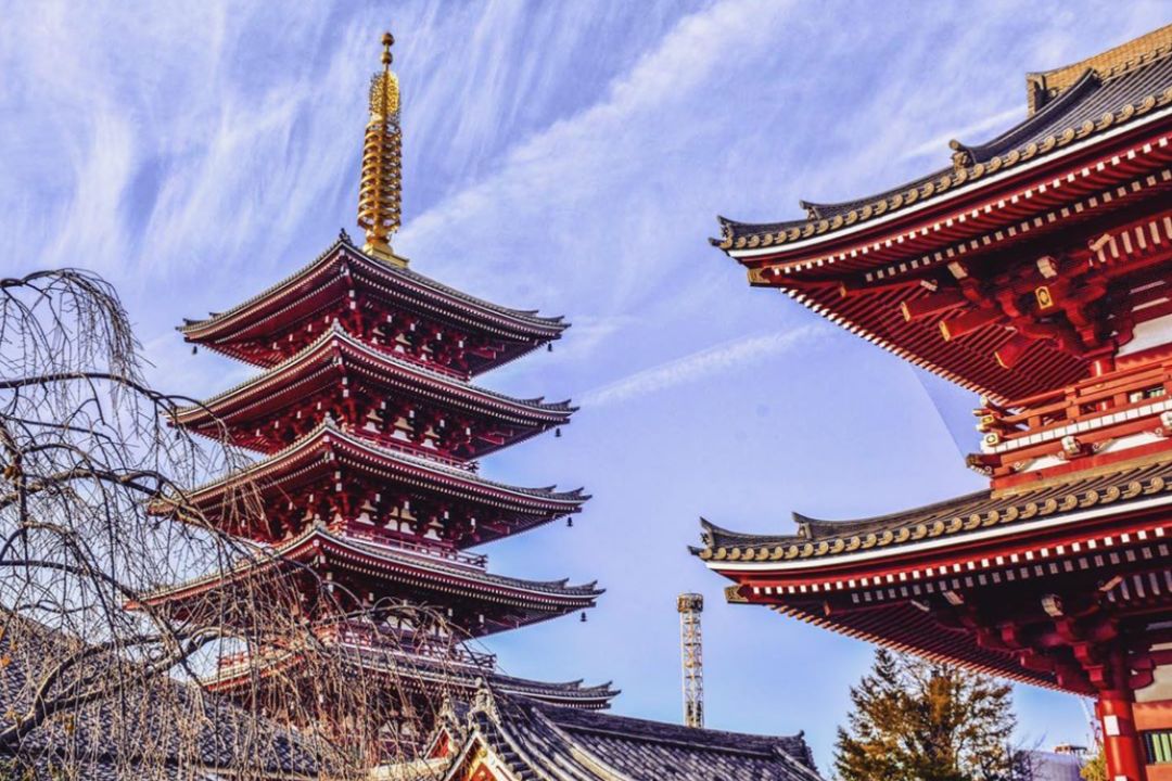 被你抛下是极难融的痛面对花开似雪一般冰冻以前读川端康成《伊豆的