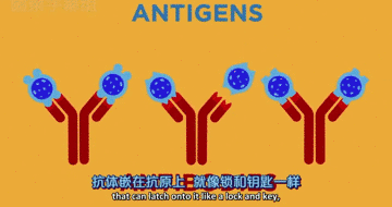 360_190gif 动态图 动图