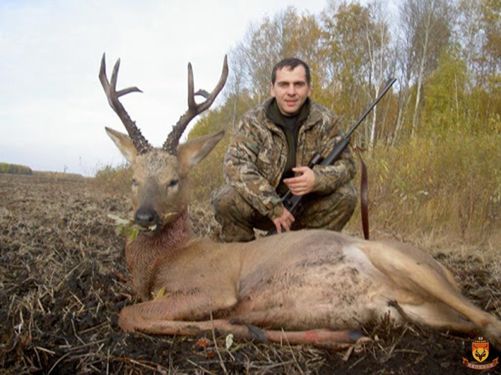 外蒙古基本猎物狩猎安排