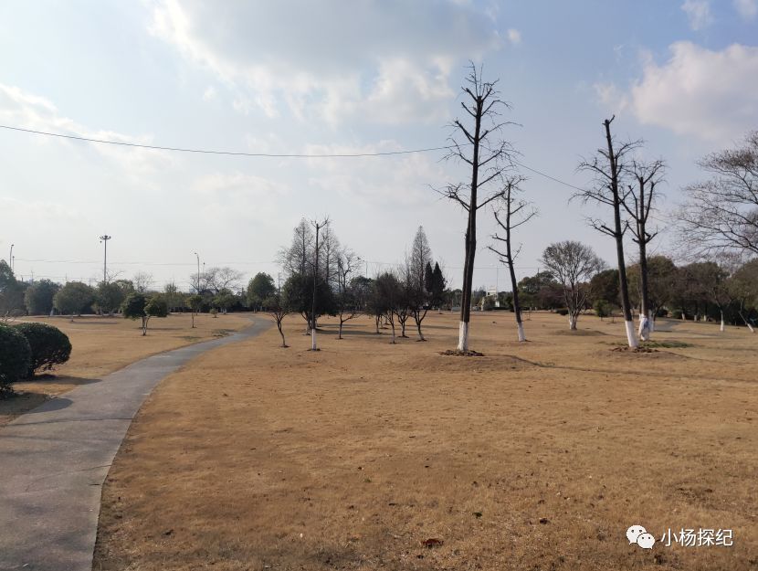 跟著山水小楊遊丹陽系列5城頭山遺址公園