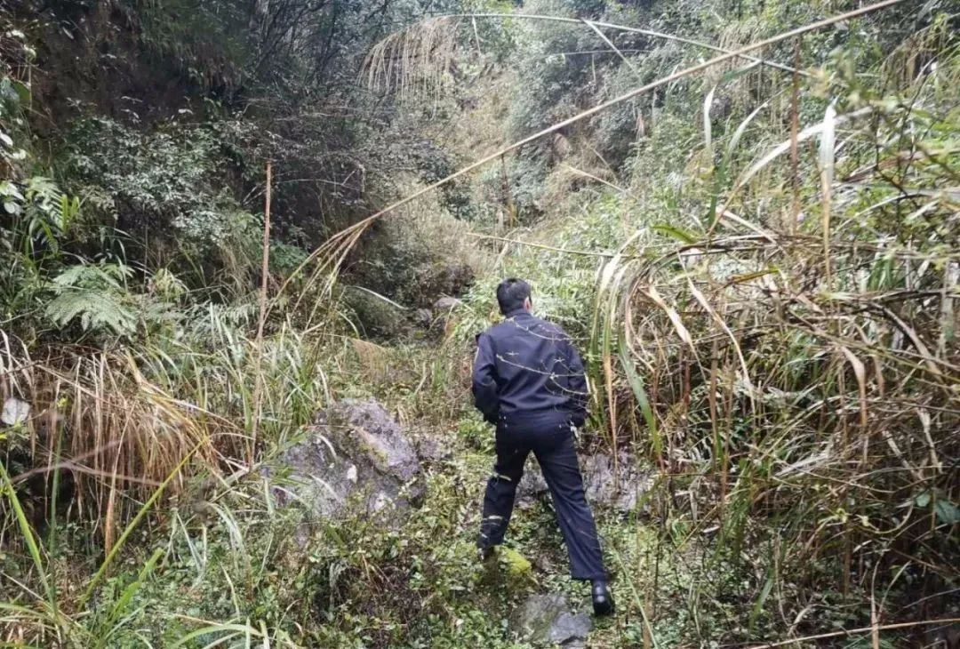 村民報警9只山羊丟失民警翻山越嶺5個多小時為其尋找