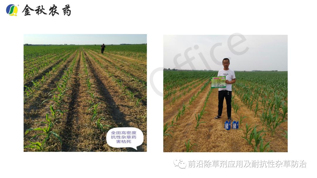 苯唑草酮产品实践推广分享