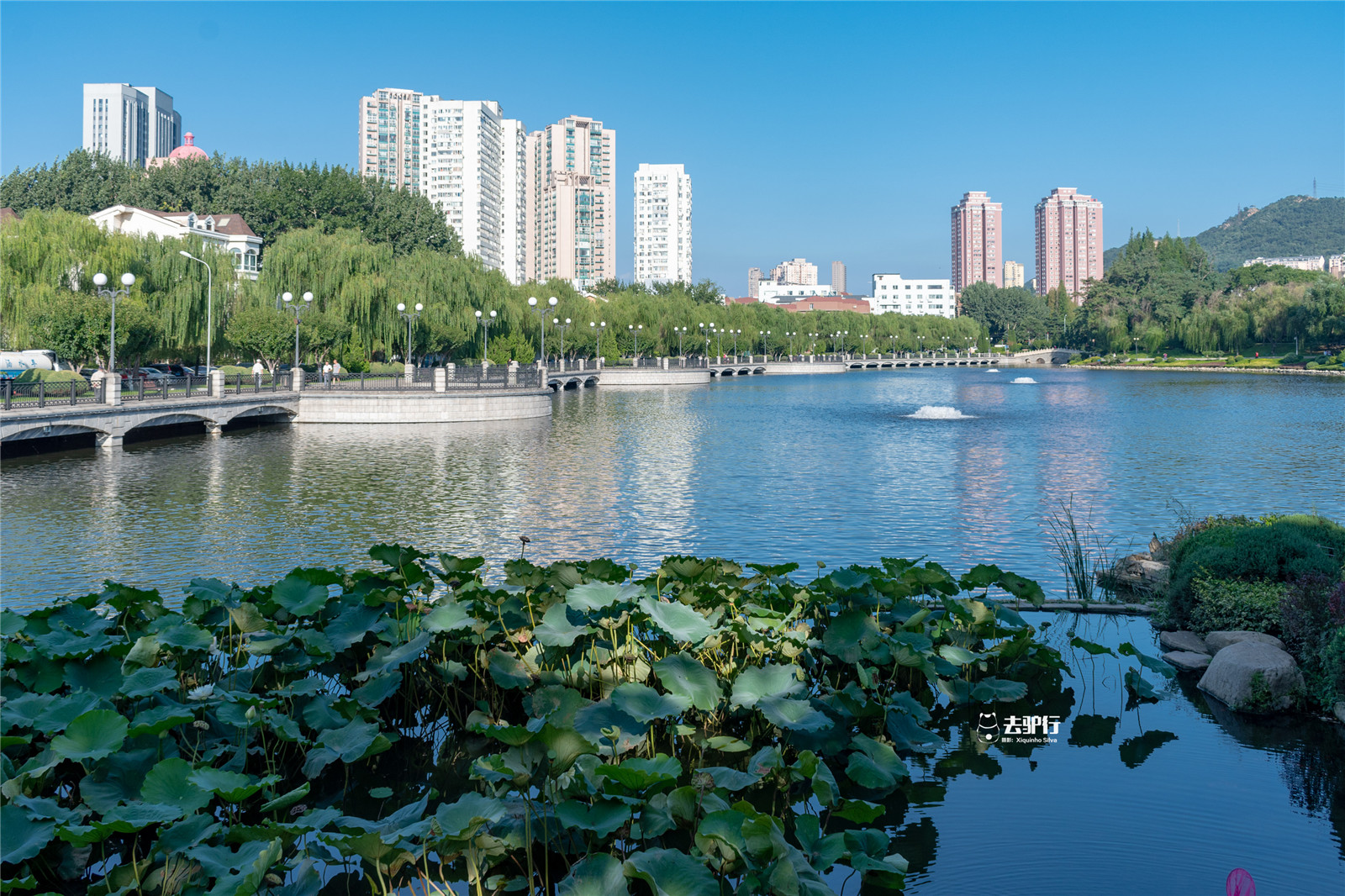 东北最有潜力的城市,城市建设"大而美",最有机会加入万亿俱乐部_大连
