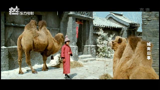 80年代最美小戏骨被导演捡漏成主演城南旧事后去哪了