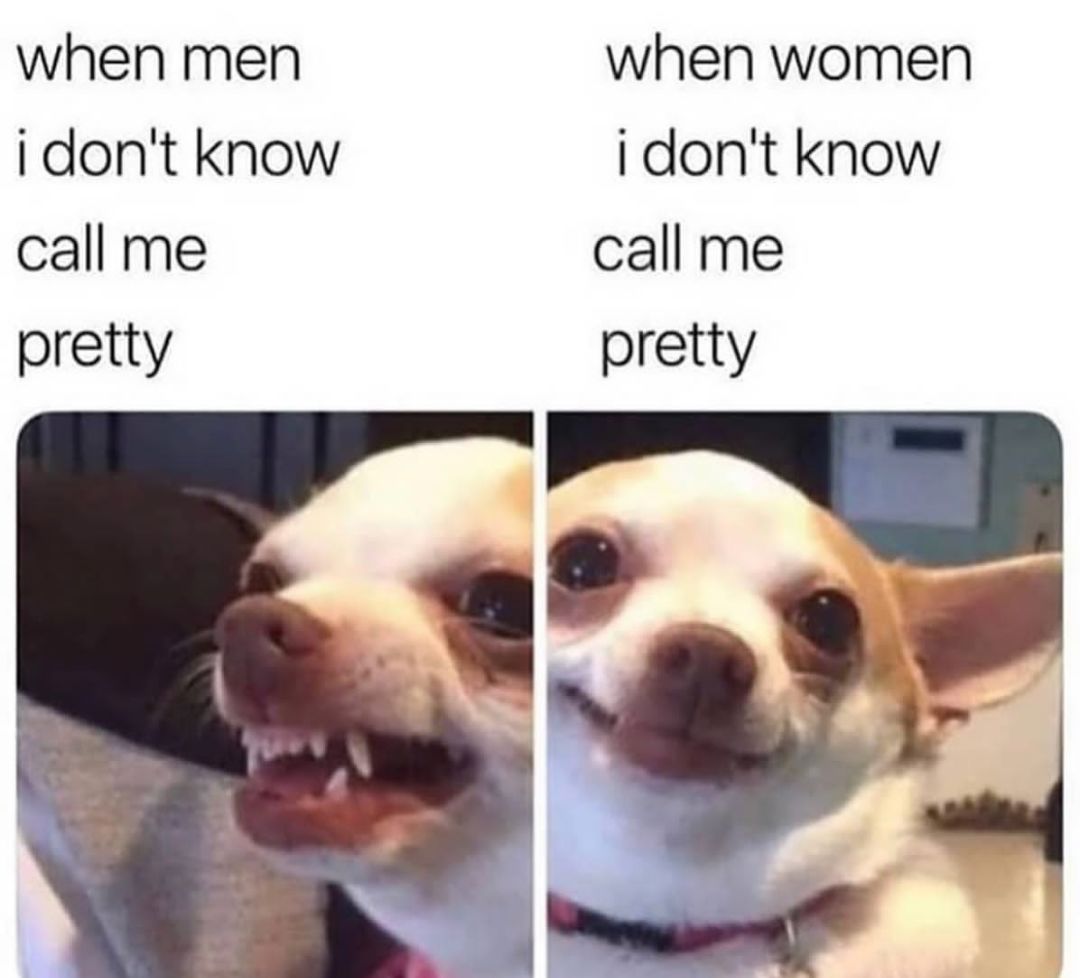 memejcole无家可归夕阳红老年rapper罢了