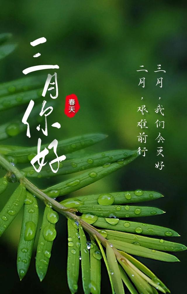 二月再见,三月你好,三月,请对我好一点,早上好