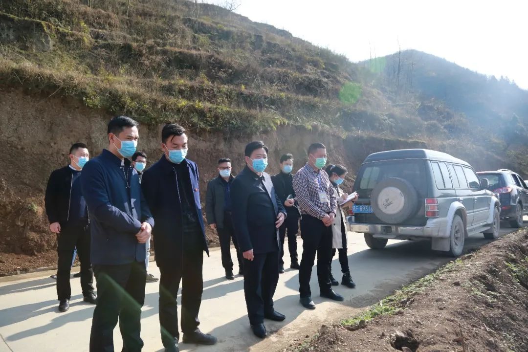 崔英魁调研春耕生产和农业产业结构调整工作