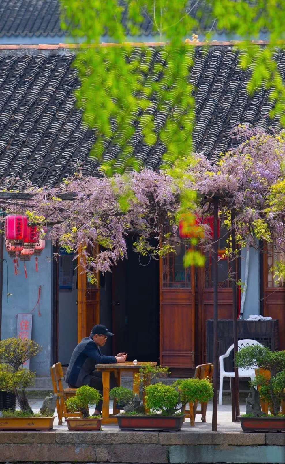 江南300年古镇隐于时光缝隙风情美如诗画醉如老酒