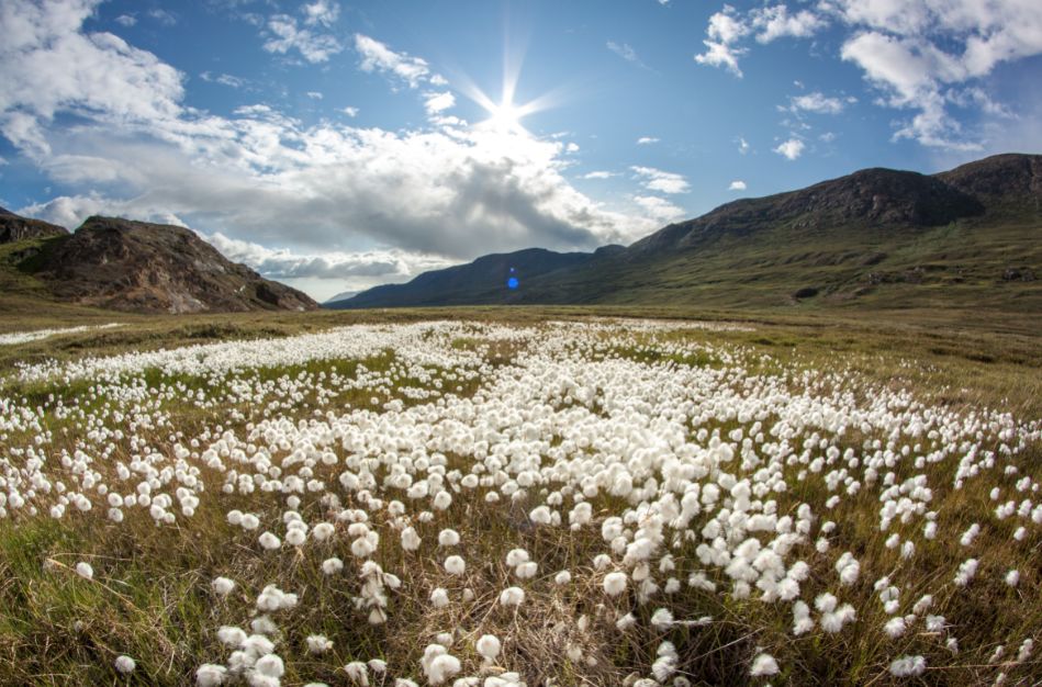 这座神岛,被网友称为远离病毒的"人类之光"!特朗普想买它!其实呢?