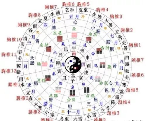 人体脊柱与二十四节气的关系