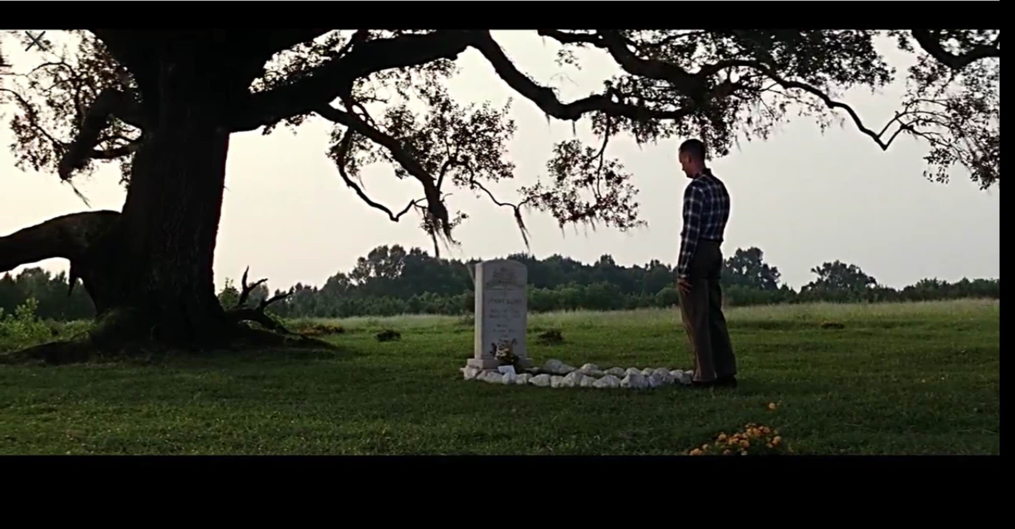 原创阿甘正传人生富贵并不全在算计每只羊都有一片青草地