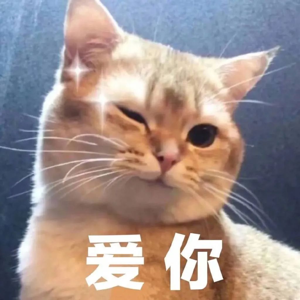 宠爱自己这件事儿还用等到女神节吗