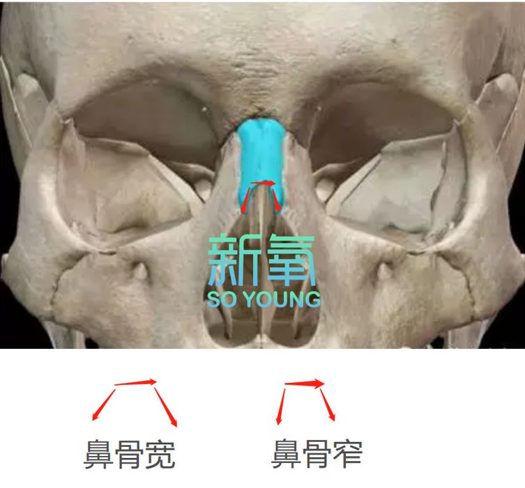新晋小花靠一部电影上位屡上热搜却0差评全靠这张鲸鱼脸