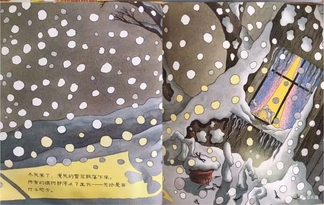 【树妈精选绘本】《弗洛拉的花》