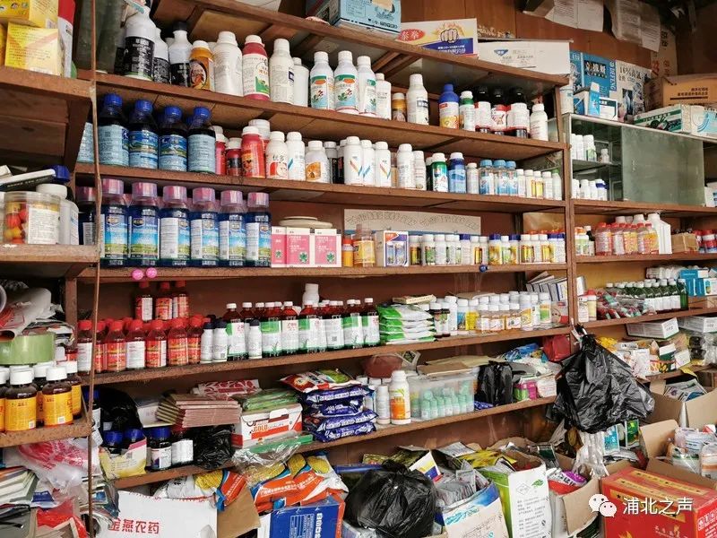 2月26日,记者在福旺一家农资商铺看到,货架上摆满了各类稻谷,蔬菜