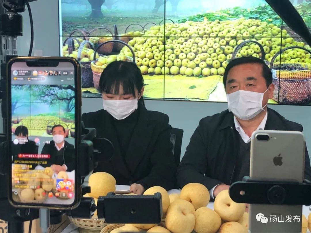 三小时16940斤砀山酥梨副县长为果农直播带货