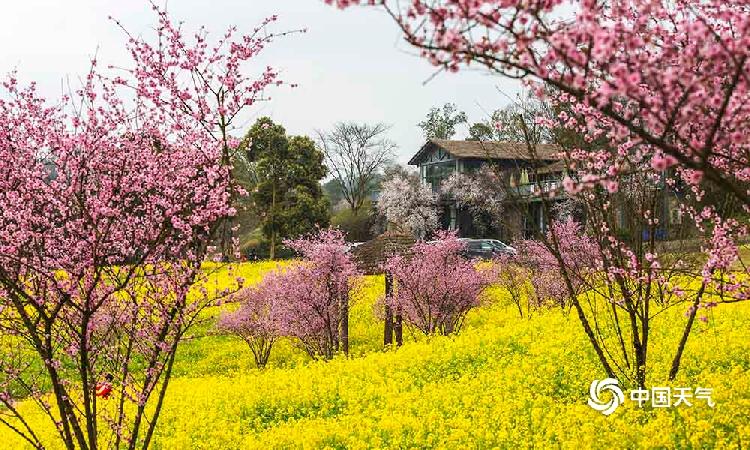 重庆天坪山春暖花开呈现绝美乡村山水图
