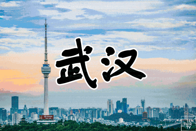 我们相约武汉见!疫期之后全体跃莱家人争取事业上的可持续发展与成功!