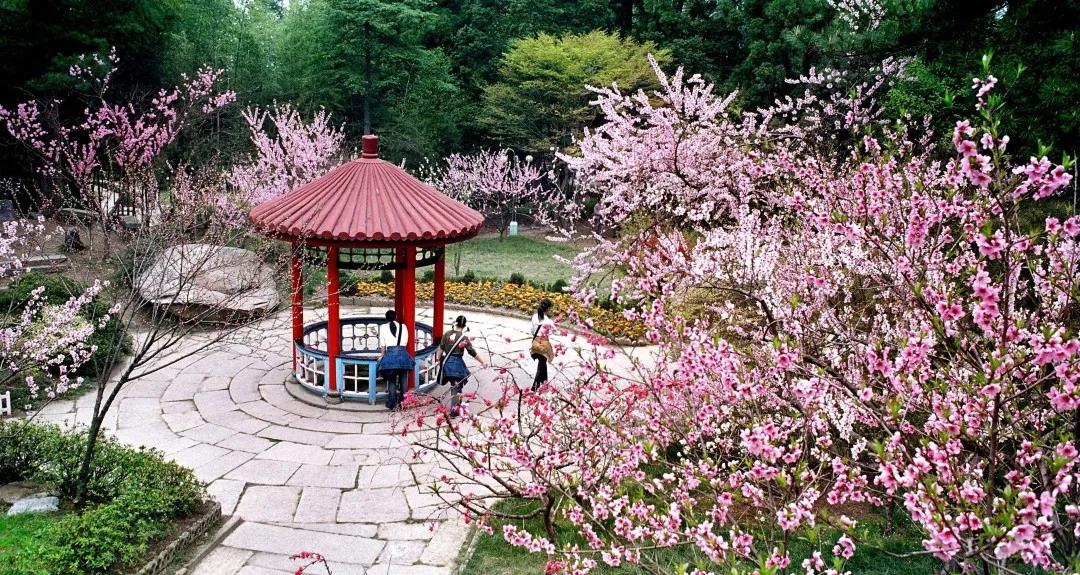 九江庐山室外景区全部恢复开放,每天限1万名游客!