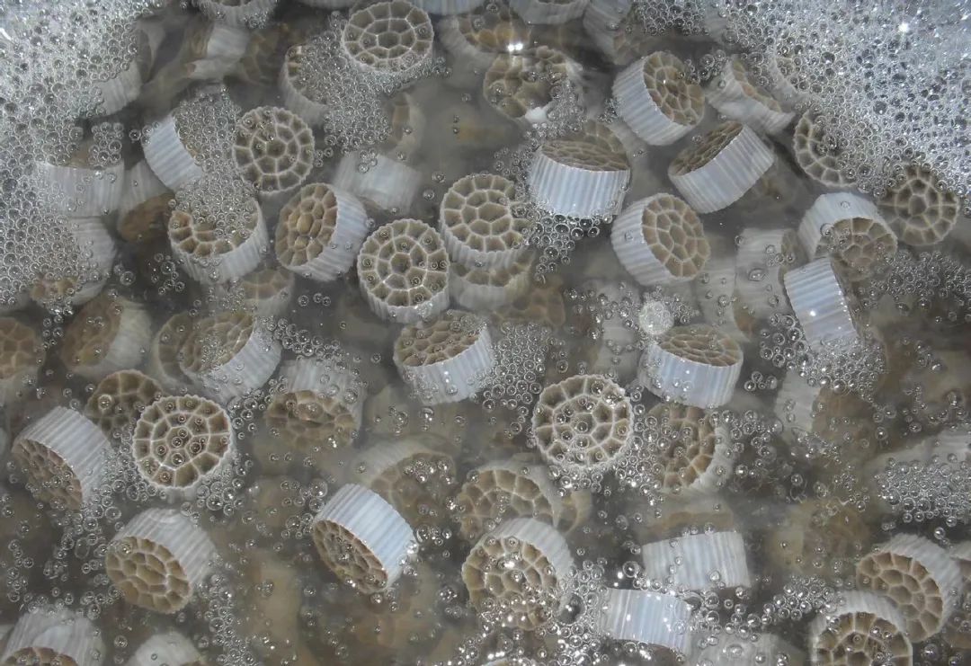 技术解析丨因疫情走红的mbbr工艺是什么原理